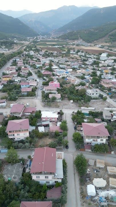 Hatay Hassa Cay Mahallesi terapi halı yıkama