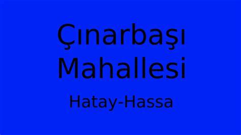 Hatay Hassa Cinarbasi Mahallesi terapi halı yıkama