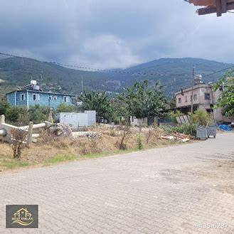 Hatay Iskenderun Akcay Mahallesi terapi halı yıkama