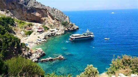 Hatay Samandag Deniz Mahallesi terapi halı yıkama