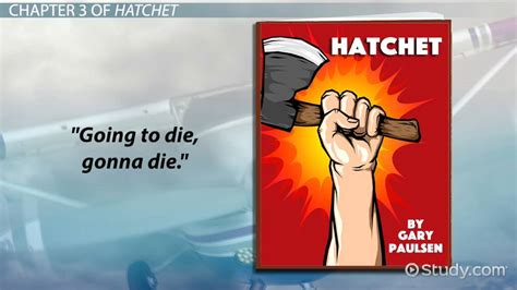 Hatchet: Chapter 3 - Summary - Video & Lesson …