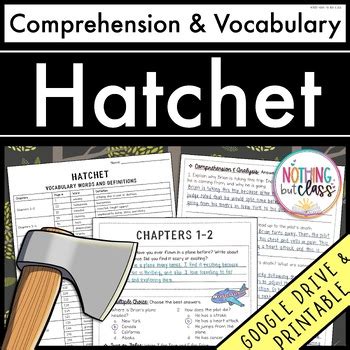 Hatchet Chapter Questions