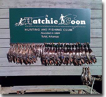 HATCHIE COON HUNTING AND FISHING CLUB v. No. 3:21-cv-219-DPM TOM