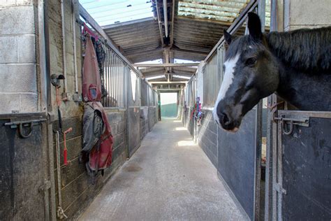 Hatton Stables - equilab.horse