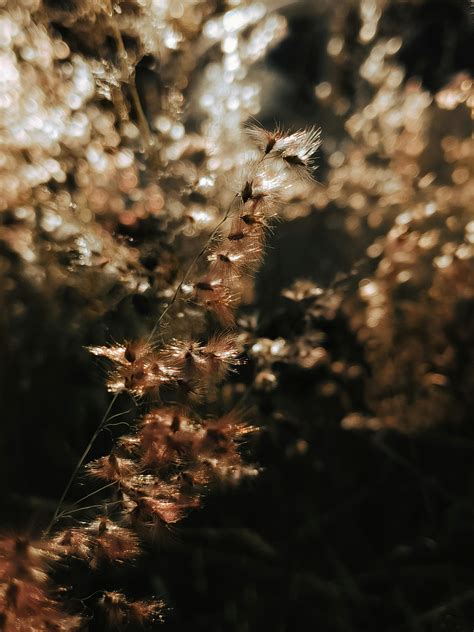 Havaalani Halı ve Koltuk Yıkama