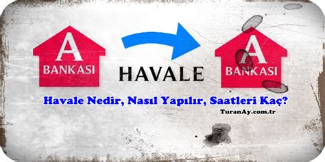 Havale Halı ve Koltuk Yıkama