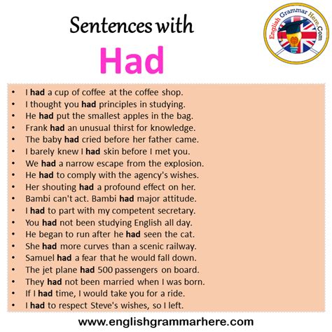 Have Had In A Sentence Short Example Sentence For Have Had