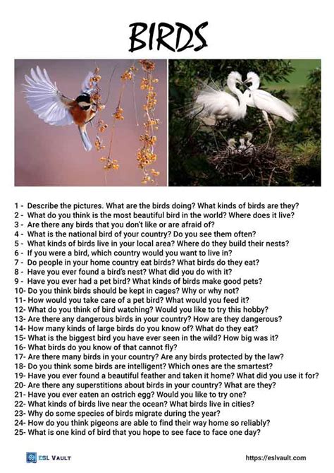 Have questions about birds? Read this first