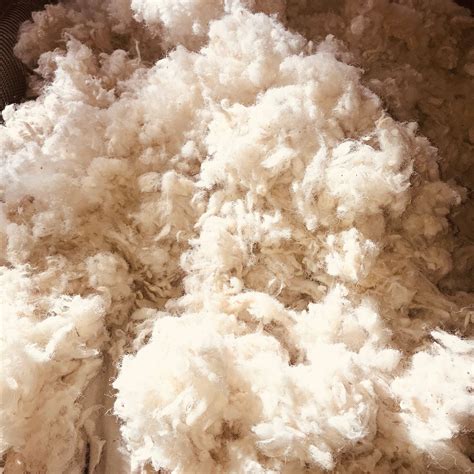 Havelock wool. Jun 2, 2023 · Other fibers are “engineered” to hit the highest R value but at a very specific and typically high density. Havelock wool density is 1.13 lbs per cubic foot versus ~3.5 lbs per cubic foot for cellulose. Havelock Wool, on the other hand, can remain airy and light by comparison given the integrity and capability of the fiber’s construct. 
