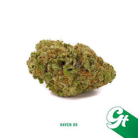 Haven og strain. Legend OG is an indica dominant hybrid (70% indica/30% sativa) strain created as a clone only OG Kush descendant. The name may say legend, but you'll have to try this bud for yourself to get a real perspective on its power. Legend OG brings a super high 24.7% average THC level to the table and high-powered indica heavy effects that will leave ... 