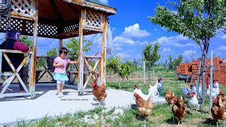 Havuzlubag Halı ve Koltuk Yıkama