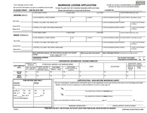 Hawaii Marriage Licens Application PDF Form FormsPal
