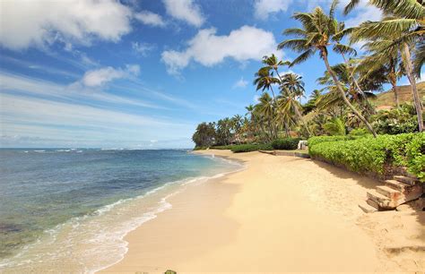 Hawaii beaches oahu. If you’re looking for a tropical paradise with stunning beaches, lush greenery, and plenty of outdoor activities, then North Shore Oahu is the perfect destination. This part of the... 
