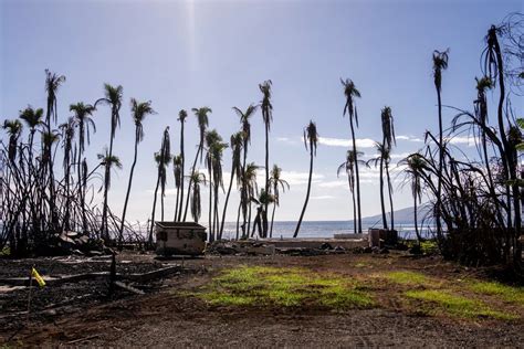Hawaii governor’s first budget after Maui wildfire includes funds for recovery and fire prevention