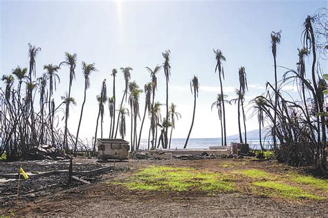 Hawaii governor wants 3,000 vacation rentals converted to housing for Maui wildfire survivors