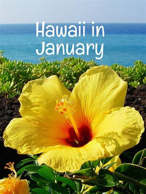 Hawaii in january. 