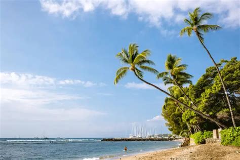 Hawaii january weather. For the best home warranty coverage available in Hawaii, check out our list of the four best providers of residential service contracts in the Aloha State. For the best home warran... 