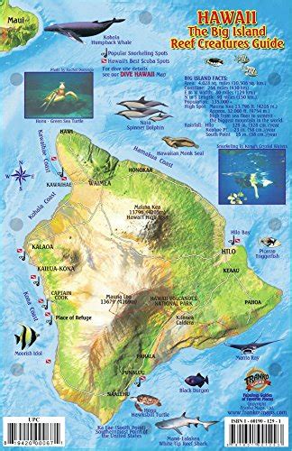 Hawaii the big island map reef creatures guide franko maps laminated fish card. - Líneas del rostro, eco de la mirada.