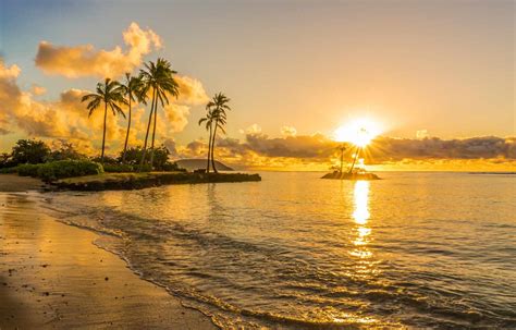 Hawaii weather august. Feb 8, 2024 ... For couples who like it the hottest, then August is the best time to visit Hawaii for honeymoon. The mercury can hit the 30s°C (90s°F) making it ... 