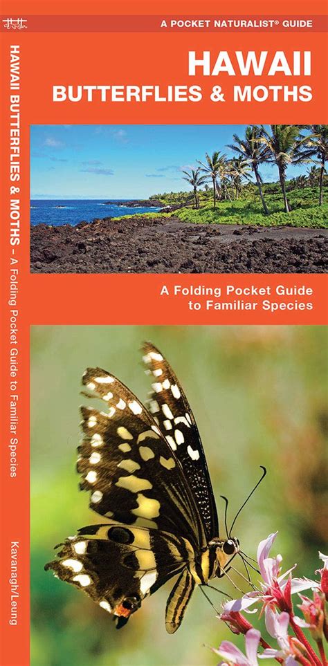 Read Hawaii Butterflies  Moths A Folding Pocket Guide To Familiar Species By James Kavanagh