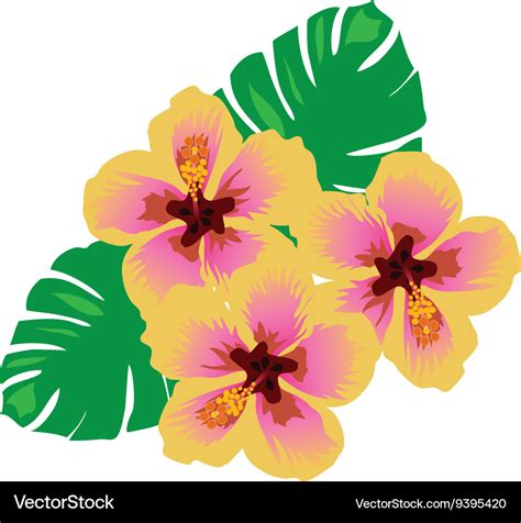 Hawaiian flower Vectors & Illustrations for Free Download