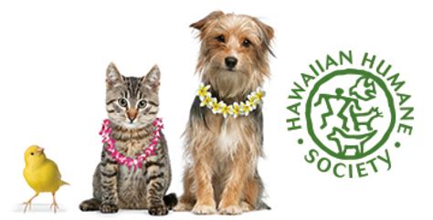 Hawaiian humane society cremation.  Volunteer to help animals.  Becaus...