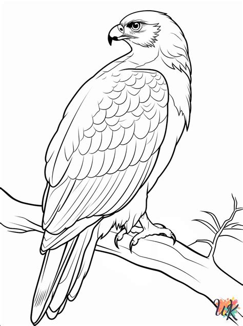 Hawk Coloring Shee