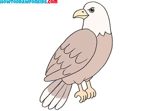Hawk Drawing Cartoon