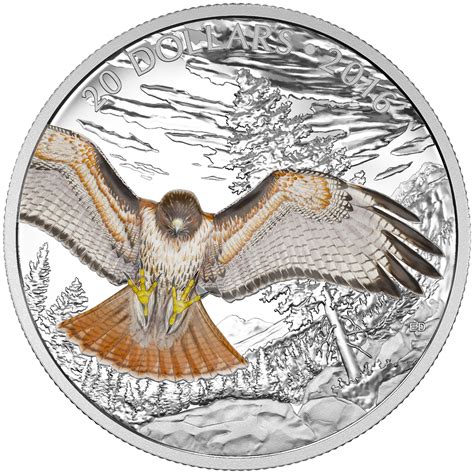 Hawk coin
