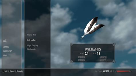 Hawks are birds found throughout Skyrim. They are hunted 
