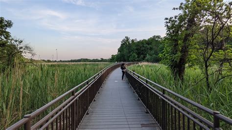 Hawk rise sanctuary. Hawk Rise Sanctuary, a 95-acre ecological preserve and wetland complex in Linden, which was carved out of a former landfill through the combined efforts of the Department of Environmental ... 
