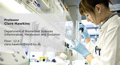 Hawkins Group, research, training,