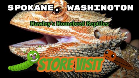 Hawley's Homebred Reptiles at 12724 E Sprague Ave, Spokane, WA 9921