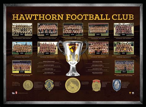 Hawthorn Football Club Online Auctions