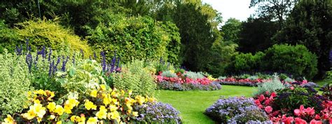 Hawthorn funeral home obituaries carthage tx. .  ...