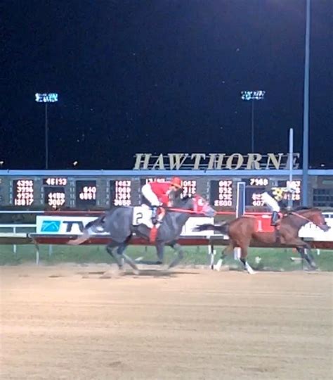 Instant access for Hawthorne Harness Race Results, Entries, Po