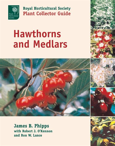 Hawthorns and medlars royal horticultural society plant collector guide. - El misterio de los temperamentos rudolf steiner.