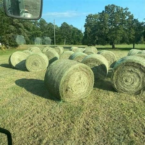 Hay For Sale In Henderson - HayMap