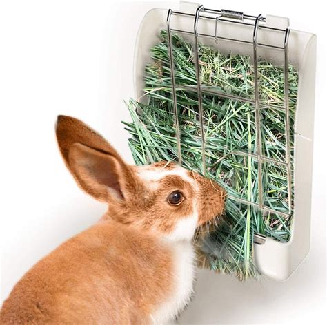 Hay for rabbits. The best rabbit hay provides your rabbit with just the right amount of nutrients. For thousands of years, rabbits have eaten hay in the wild and this is because it is so beneficial to their health. It contains 12% protein, less than 2% fat and 14-20% fibre for maintenance. Different types of hay and different cuts have different nutrients, but ... 