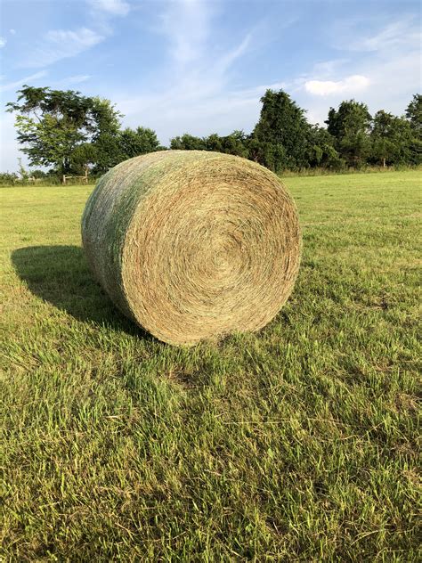 Hay for sale in missouri craigslist. The combined value of all Missouri land for sale is almost $6 billion and equals around 400,000 acres. The median price of Missouri land and farms for sale is $249,900. Of the 115 counties in Missouri, Camden County has the most land for sale. To stay updated on market trends and land for sale in Missouri, sign up for Land And Farm's Missouri ... 