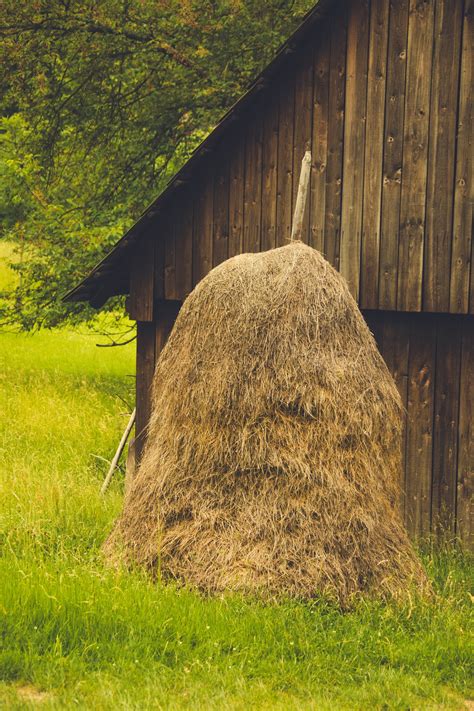 Hay stack. Things To Know About Hay stack. 