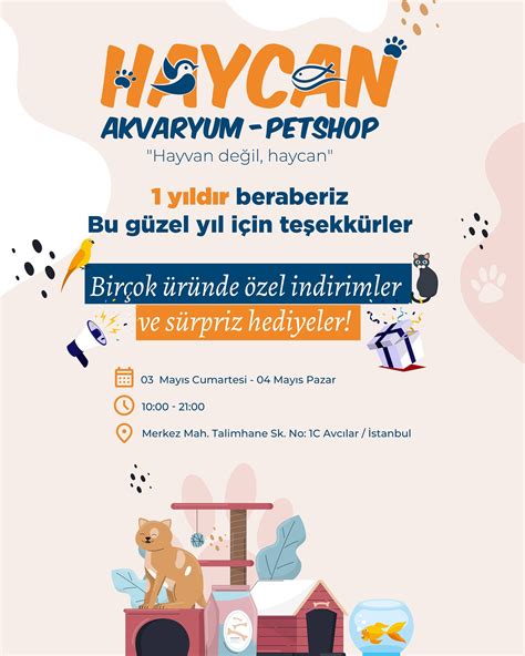 codini.rgarabwor.edu.pl. 