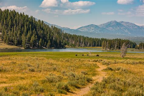 Hayden Valley, Yellowstone National Park Hiking