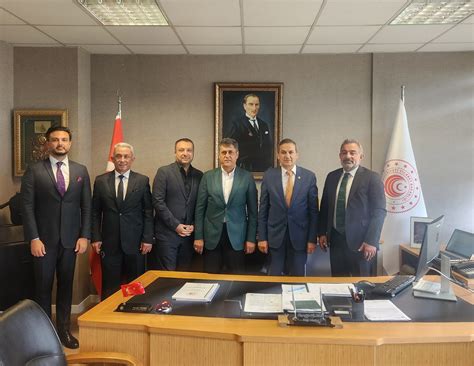 veodersti.rgarabwor.edu.pl. 