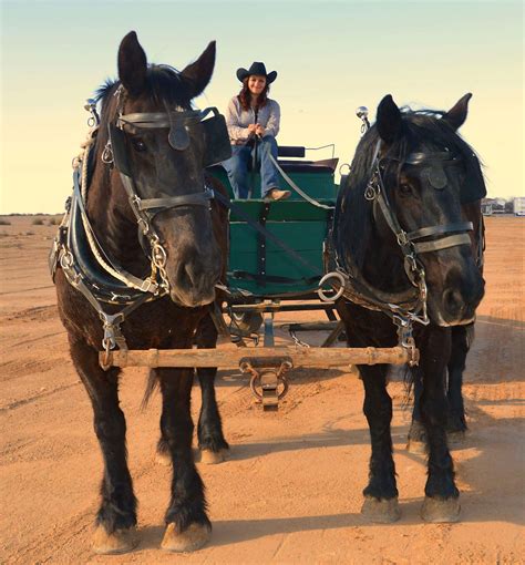 Hayrides and wagon Rentals in Arizona - farm