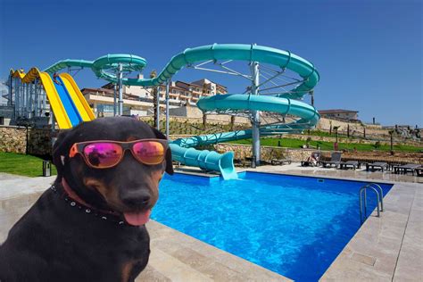 veodersti.rgarabwor.edu.pl. 