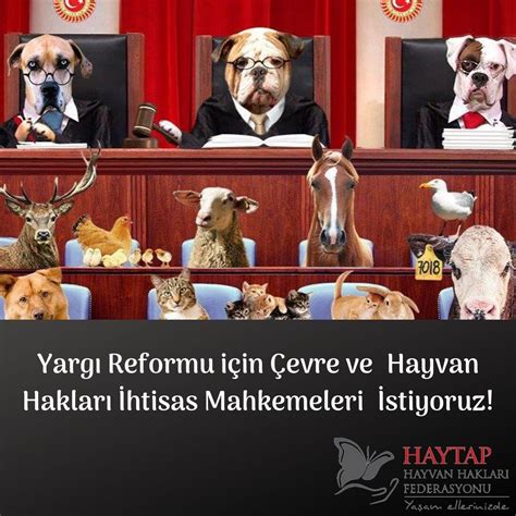 Hayvan Mahkemeleri CeReZFoRuM.