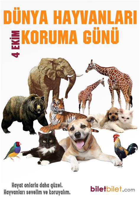 Hayvanları Koruma Günü – habermudanya.com.tr