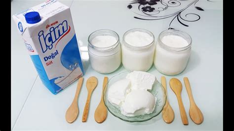 Hazır yoğurt mayası ile yoğurt yapımı