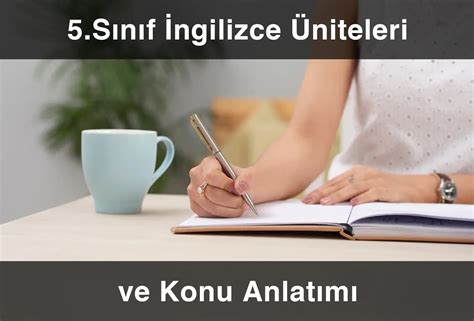 Hazırlayanın ingilizcesi